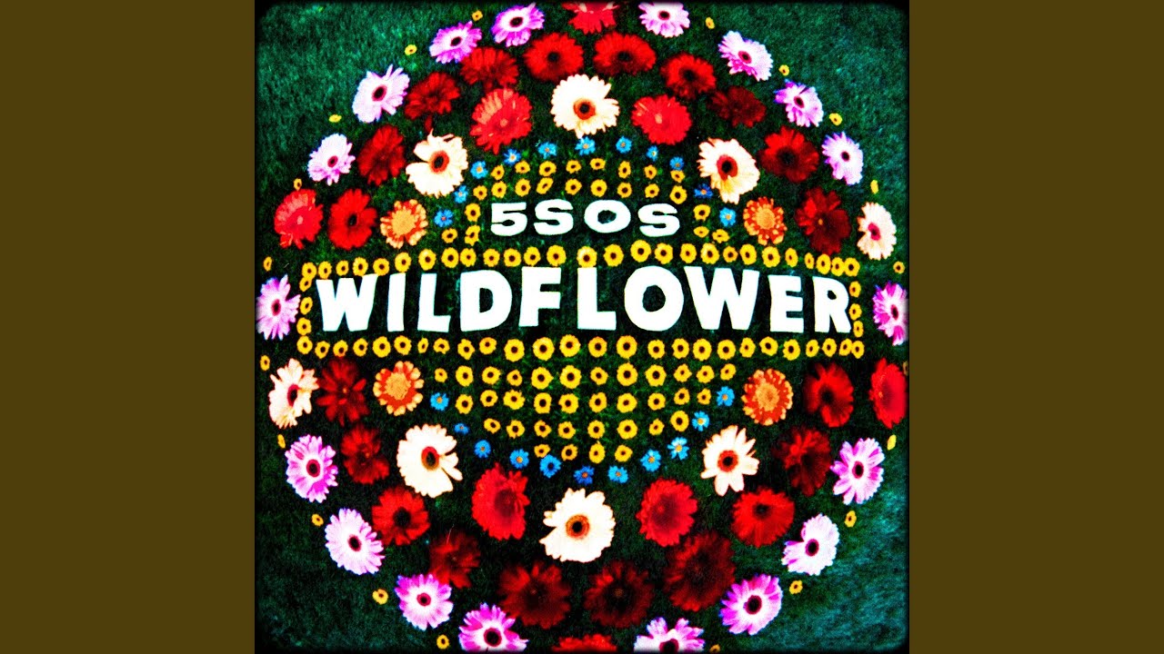 song lyrics wildflower